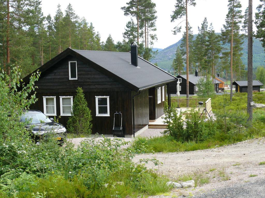 Chalet Vradal Villa Room photo