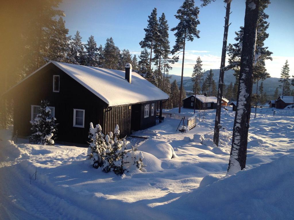 Chalet Vradal Villa Exterior photo